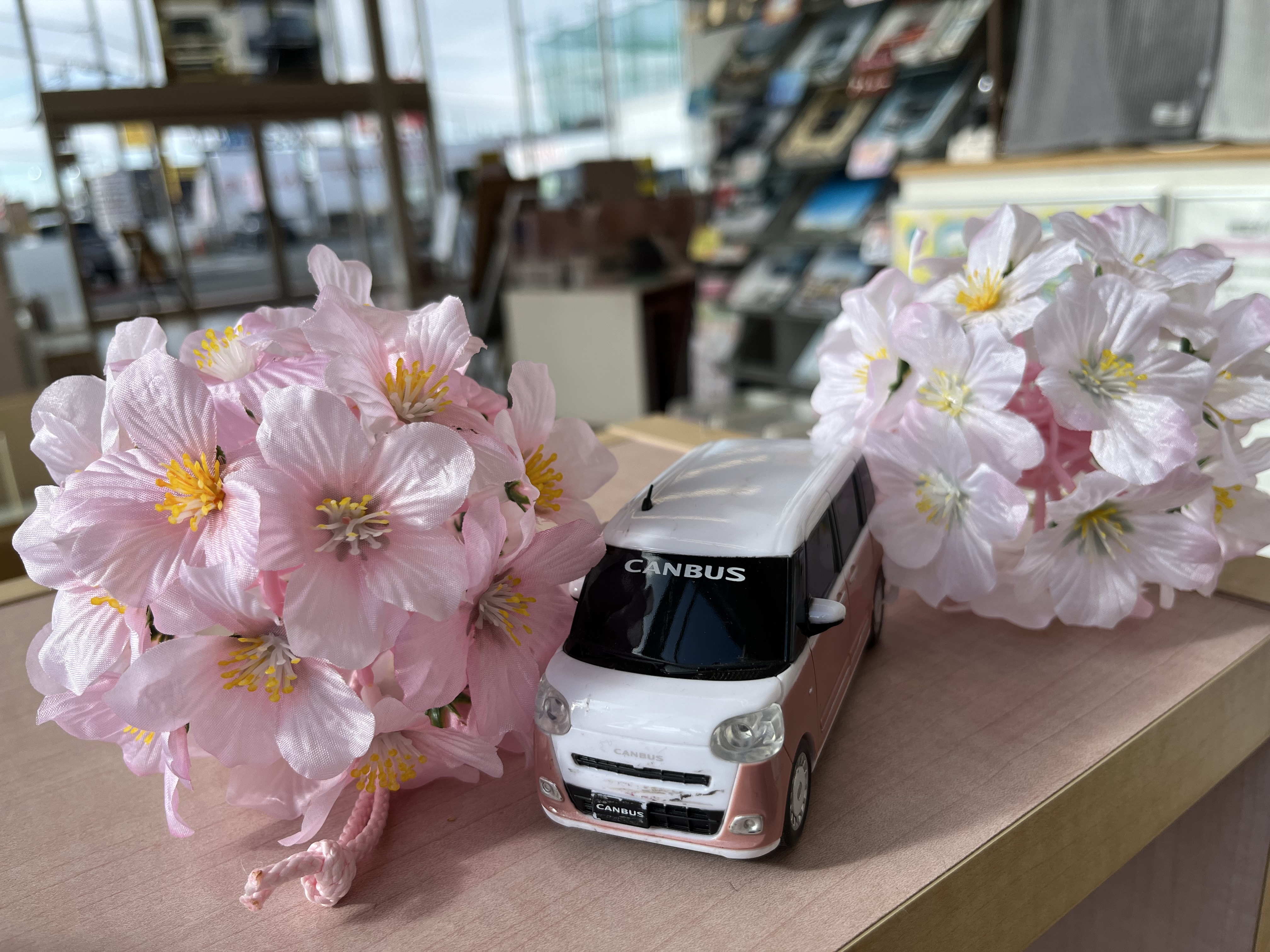 🌸桜開花しました🌸